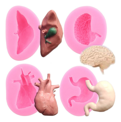 4 Moldes De Silicona Para Órganos Humanos, Hígado, Cerebro Y