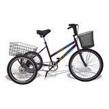 Bicicleta Triciclo Deluxe Wendy Aro 26 Completo Violeta