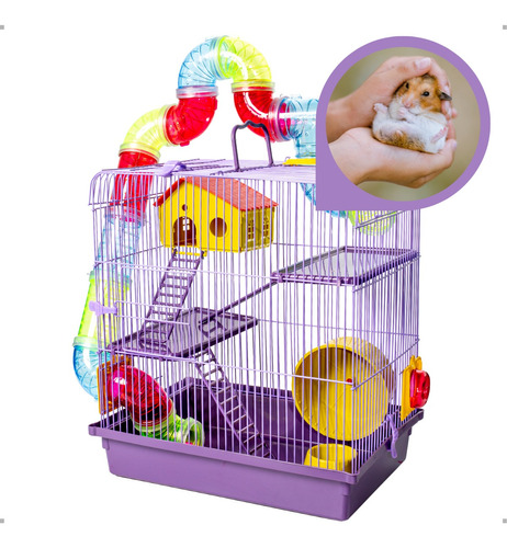 Gaiola Hamster Roedor Casinha Luxo 3 Andares Completa Barato