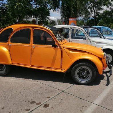 Citroen  1976