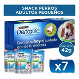 7 Unid. Dentalife Perros Razas Pequeñas. Envio A Todo Chile