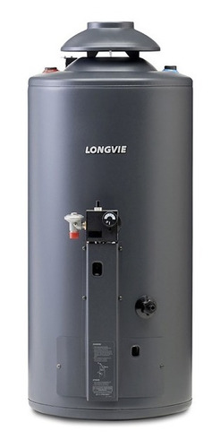 Termotanque A Gas Longvie Tp860ar-n Para Colgar Y Apoyar 56l