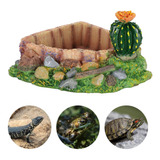 Comedero Para Reptiles, Alimentador De Agua, Plato, Lagarto