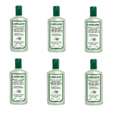 Shampoo Capilatis Con Extractos Vegetales 410ml Ortiga X6un