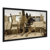 Quadro Decorativo Cachorro Pastor Alemão Tanque Guerra 20x30