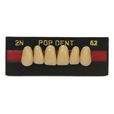 Dente 2n Superior Na 62 - Pop Dent