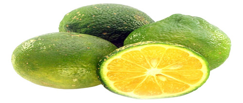 Limon Mandarina Injertado Citrus × Limonia 