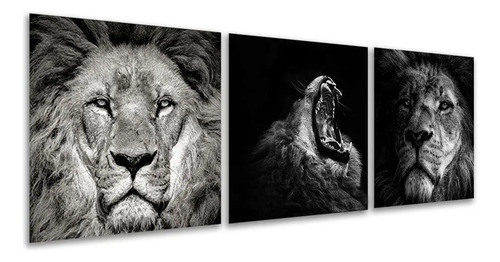 Set De 3 Cuadros Decorativos Modernos Leones Blanco Y Negro