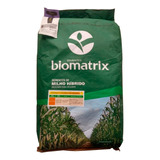 Sementes De Milho Verde Híb. Biomatrix 3066 Vt Pro3 - 2 Kg