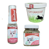 Suplementos Para Gatos Catnip Spray Y Hojas Mas Pasto Gatos