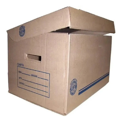 Caja De Archivo Armable Carta Marca Geo 10 Piezas