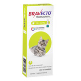 Bravecto Antipulgas Transdermal Para Gatos De 1,2 A 2,8kg