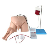 Simulador Anatomic De Cateterismo Vesical Bissexual