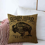 Throw Pillows Cover 20 X 20 Inches Bison Vintage Wester...