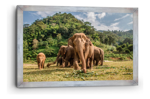 Cuadro Canvas Marco Clásico Elefantes En Familia 80x120cm