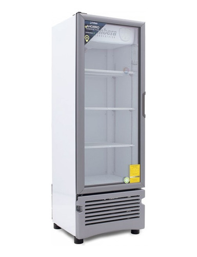 Refrigerador Comercial Vertical Imbera Vr-12 12 Pies