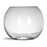 Aquário Vaso Redondo Vidro Decoração Terrário 2,6l + Brinde