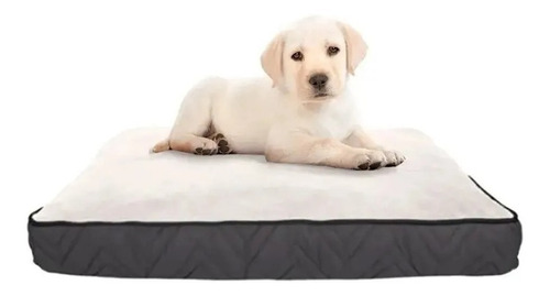 Cama Colchoneta Perros Chicos 73x51x8cm Dog It Cucha Indoor