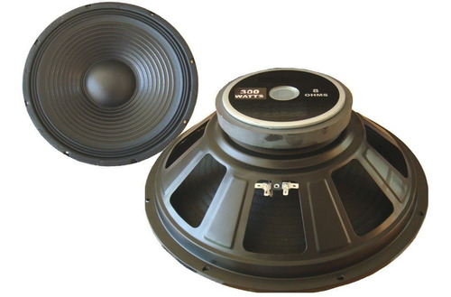 Parlante Woofer 15 Pulgadas 300 Watts 8 Ohms Oferta