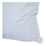 Combo Especial 2 Almohadas De Duvet 45x65  850 Gms