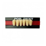 Dente 3n Inferior Na 62 Pop Dent