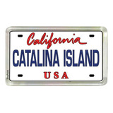 World By Shotglass Catalina Island California Placa De Matrí
