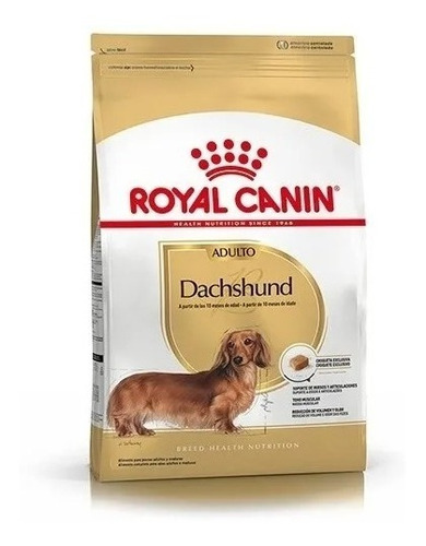 Royal Canin Dachshund Adulto 3 Kg Envío Nuska Salchicha