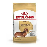 Royal Canin Dachshund Adulto 3 Kg Envío Nuska Salchicha