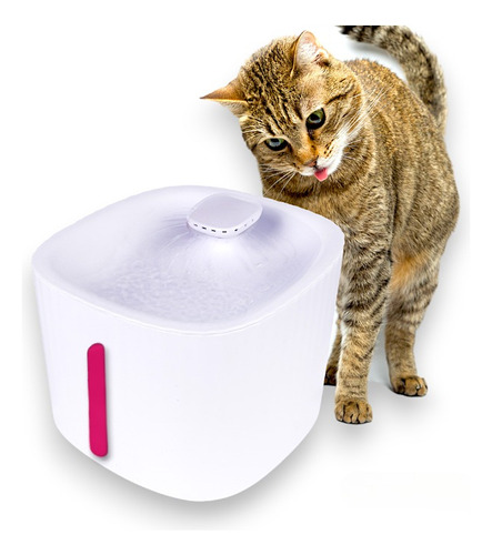  Bebedouro Automático Para Cães E Gatos Fonte D'água Bivolt