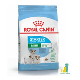 Royal Canin Mini Starter X 3 Kg