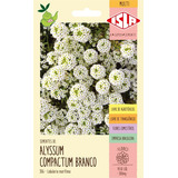 Sementes De Alyssum Compactum Branco