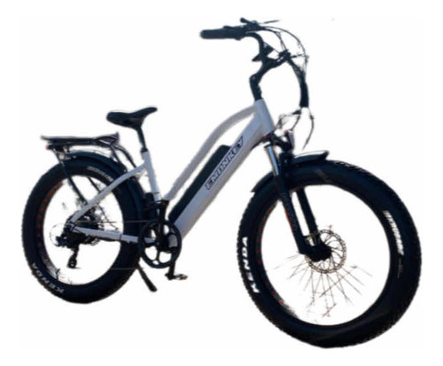Bicicleta Electrica 750w