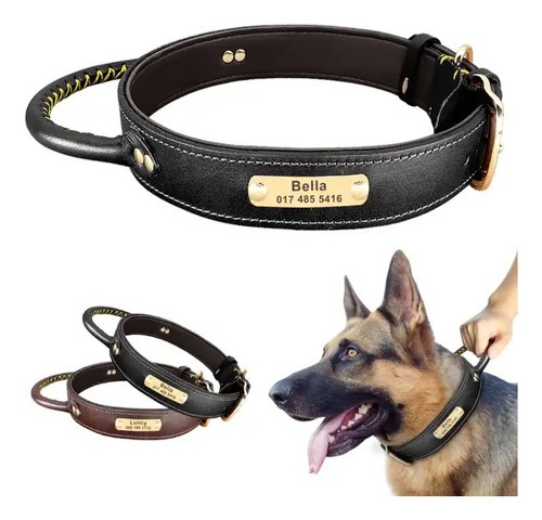 Collar Reforzado De Cuero Para Perros Con Grabado   