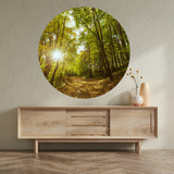 Vinilo Para Pared Circular Diseño Paisaje Bosque 100x100cm