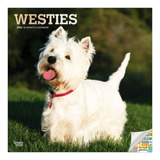 West Highland White Terriers 2022 12 X 12 Inch Monthly Squar