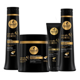 Kit Haskell Cavalo Forte Sh Cond 500ml Máscara 500g Leave In