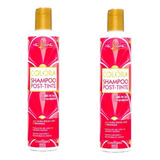 Kit 2 Nekane Shampoo Colora Post-tinte 300g