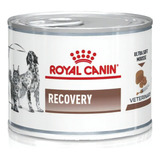 Royal Canin Recovery Comida Para Perro Gato 195gr
