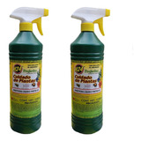 Insecticida Para Suculentas H24 PuLGón Y Cochinilla 2 Piezas