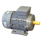 Motor Trifásico Czerweny 0,75 Hp 1500 Rpm Blindado