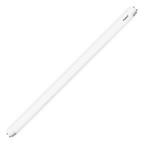 Lâmpada Led Tubular T8 18w 3000k G13 120cm Vidro Avant