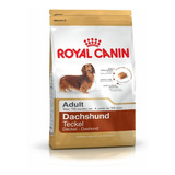 Royal Canin Dachshund Adulto Perro Salchicha 3 Kg Pet Cuenca