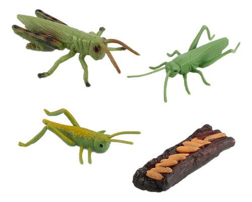 Saltamontes Realistas/figuras De Crecimiento De Insectos