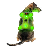 Arnés Chaleco Led Para Perros Gatos Recargable Usb