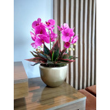 Arranjo De Orquídeas Realistas Em Silicone Vaso Com Folhagem