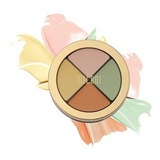 Corrector Milani Conceal + Perfect Kit All In One Tono 5 Correcting