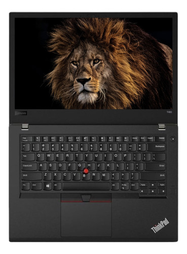 Notebook Lenovo T480 I5 8ªger 16gb 256gb Ssd Windows 11 Nf