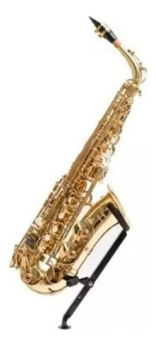 Saxo Alto Custom Dorado Linea Estudio