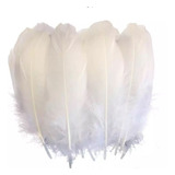 Plumas Decorativas Artificiales Color Blanco Paquete X 100