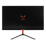 Monitor Gamer Riotoro Stingray Gx24 24' 165hz 